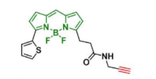 BDP 558/568 Alkyne，分子量 383.22