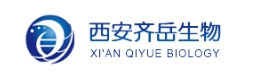 Cy5.5-PEG-NHS Cy5.5-PEG-SC Cy5.5-聚乙二醇-琥珀酰亚胺酯