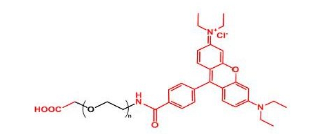 罗丹明聚乙二醇羧基 Rhodamine-PEG-COOH