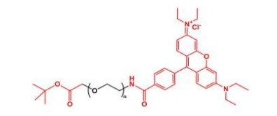 Rhodamine-PEG-COOtBu 罗丹明聚乙二醇叔丁酯