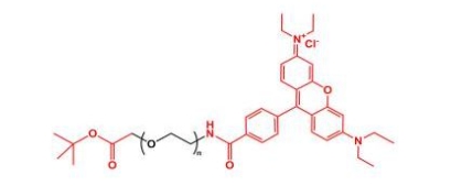 Rhodamine-PEG-COOtBu 罗丹明聚乙二醇叔丁酯