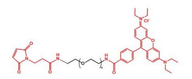 罗丹明聚乙二醇马来酰亚胺 Rhodamine-PEG-MAL