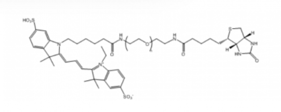 Cy3-PEG-Biotin，Cy3-聚乙二醇-生物素