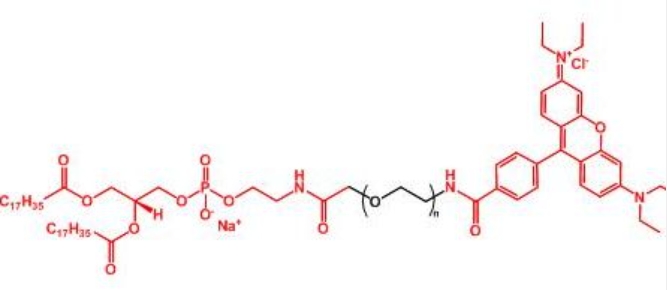 罗丹明聚乙二醇磷脂 Rhodamine-PEG-DSPE