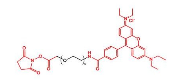 罗丹明聚乙二醇活性酯 RB-PEG-NHS