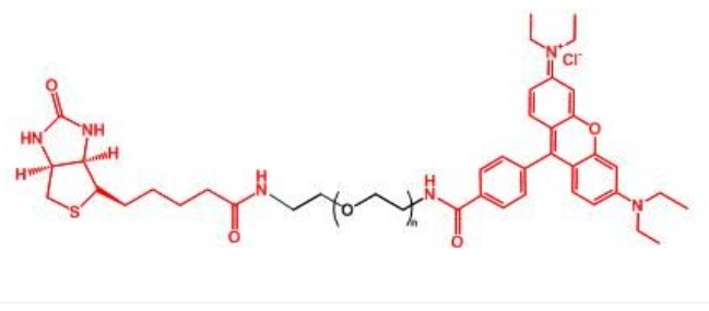 罗丹明聚乙二醇生物素 RB-PEG-BIOTIN