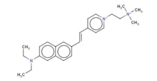 Di-2-ANEPEQ（JPW 1114），膜电位染料JPW 1114