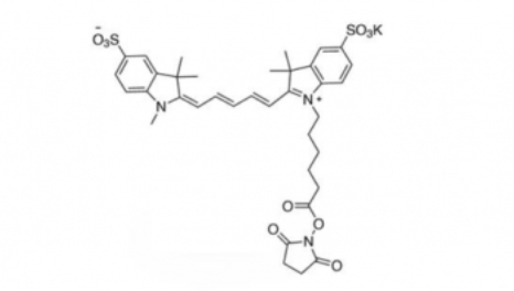 diSulfo-Cy5 NHS ester(Methyl)，二磺酸基Cy5-活性酯(甲基)