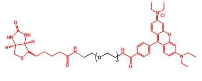 罗丹明聚乙二醇生物素 RB-PEG-BIOTIN