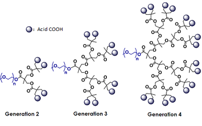 聚乙二醇-超支化树枝状酸 mPEG-树枝状酸 mPEG-Dendro Acid 