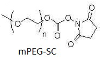聚乙二醇-琥珀酰亚胺碳酸酯 mPEG-SC