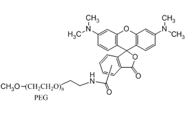 聚乙二醇-罗丹明 荧光标记 mPEG-Rhodamine 