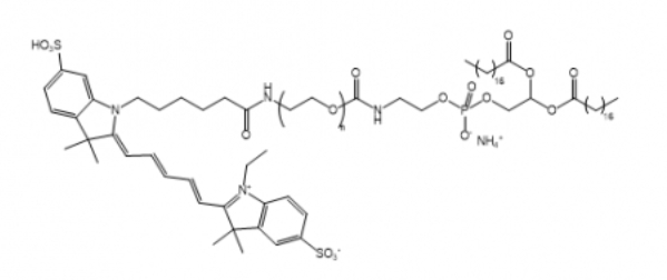 Cy5-PEG-DSPE；Cy5-聚乙二醇-二硬脂酰基磷脂酰乙醇胺
