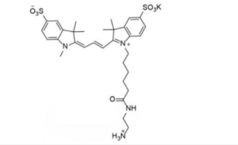 diSulfo-Cy3 C2 amine/磺酸基Cy3-C2-氨基