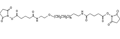 聚乙二醇-双(戊酰胺琥珀酰亚胺酯) GAS-PEG-GAS 