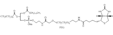 磷脂-聚乙二醇-生物素 自组装PEG脂质体 DSPE-PEG-Biotin 