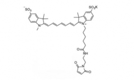 diSulfo-Cy7 Maleimide(Methyl)/二磺酸基Cy7-马来酰亚胺(甲基)