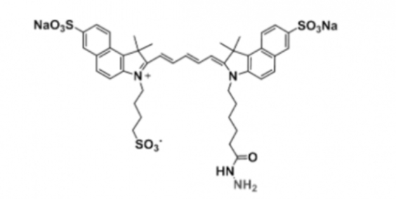 triSulfo-Cy5.5 hydrazide/三磺酸基Cy5.5 酰肼