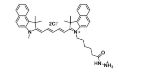 Cy5.5 hydrazide/Cyanine5.5 hydrazide/脂性Cy5.5 酰肼