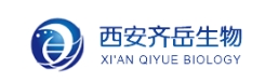 Biotin-PEG-RVG29  生物素-聚乙二醇-靶向肽RVG29