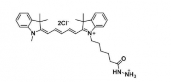 Cy5 hydrazide/Cyanine5 hydrazide/ 脂性Cy5-酰肼