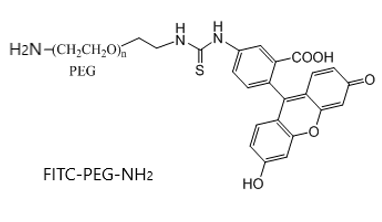 荧光素-聚乙二醇-氨基 荧光标记 FITC-PEG-NH2 