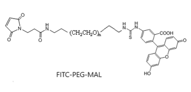 荧光素-聚乙二醇-马来酰亚胺 荧光标记 FITC-PEG-MAL