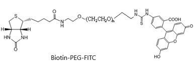 荧光素-聚乙二醇-生物素 荧光标记 FITC-PEG-Biotin