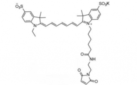 diSulfo-Cy7 Maleimide(Ethyl)/二磺酸基Cy7-马来酰亚胺(乙基)