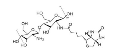 Chitosan-Biotin；壳聚糖-生物素