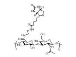 HA-Biotin;Hyaluronate-Biotin 透明质酸-生物素