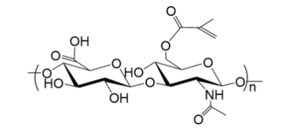 Hyaluronate-Methylpropiolate；透明质酸-甲基丙烯酸酯