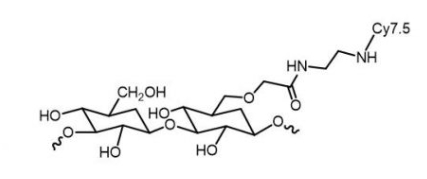 Dextran-CY7.5；葡聚糖-花菁Cy7.5