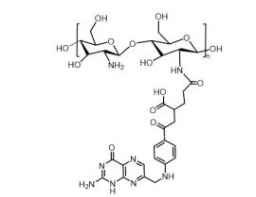 Chitosan-FA；壳聚糖-叶酸