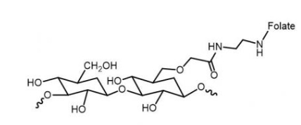 Dextran-FA;葡聚糖-叶酸