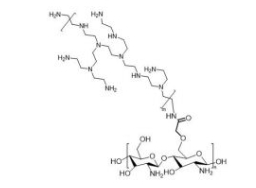Chitosan-PEI;壳聚糖-聚乙烯亚胺