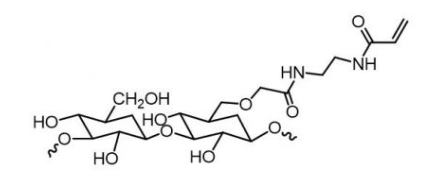 Dextran-Acrylate;葡聚糖-丙烯酸酯