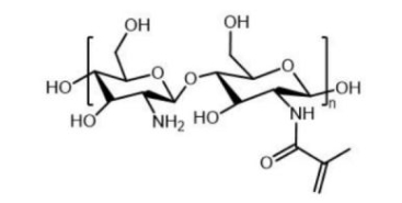 Chitosan-MA; 壳聚糖-甲基丙烯酸酯