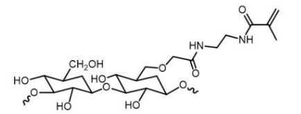 Dextran-MA; 葡聚糖-甲基丙烯酸酯