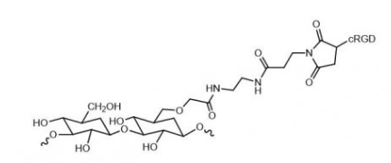 Dextran-cRGD;葡聚糖-环肽cRGD
