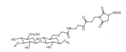 Dextran-cRGD;葡聚糖-环肽cRGD