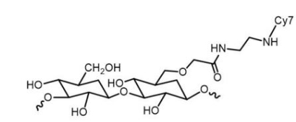 Dextran-Cy7；葡聚糖-花菁Cy7