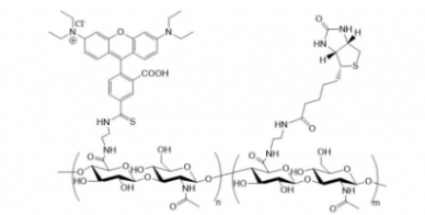 RB-HA-Biotin 罗丹明-透明质酸-生物素