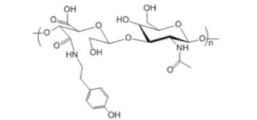HA-Tyramine; 酪胺化透明质酸