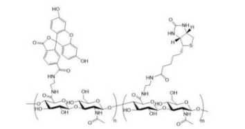FITC-HA-Biotin;荧光素-透明质酸-生物素