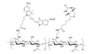 Cy3-HA-Biotin; 花菁Cy3标记透明质酸-生物素