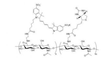 Cy5-HA-Biotin；花菁Cy5标记透明质酸-生物素