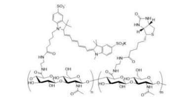 Cy7-HA-Biotin；花菁Cy7标记透明质酸-生物素