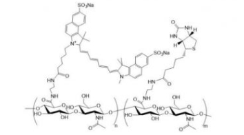 Cy7.5-HA-Biotin；花菁Cy7.5标记透明质酸-生物素