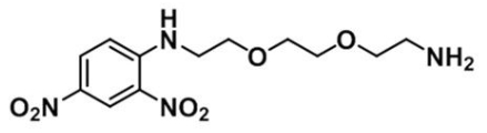 Amine-PEG2-DNP  分子式 C12H18N4O6